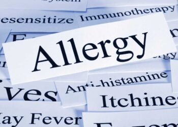 The Connection Between Humidity Levels and Mold Allergies Explained