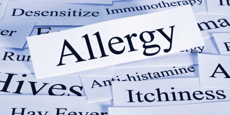 The Connection Between Humidity Levels and Mold Allergies Explained