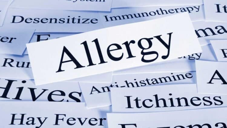 The Connection Between Humidity Levels and Mold Allergies Explained
