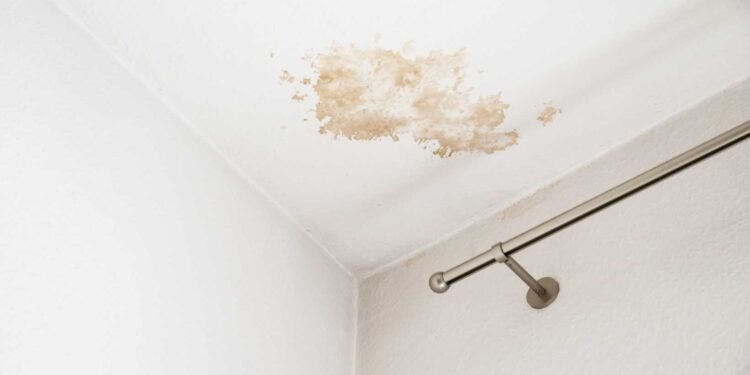 The Cost of Water Damage Restoration: Understanding Your Investment