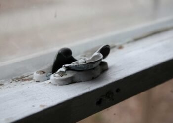 The Long-Term Health Effects of Lead Exposure: What You Need to Know