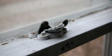 The Long-Term Health Effects of Lead Exposure: What You Need to Know