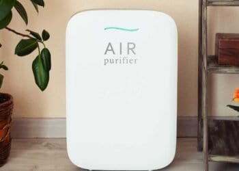 The Role of Air Quality in Preventing Aspergillosis-Related Illnesses: A Comprehensive Overview