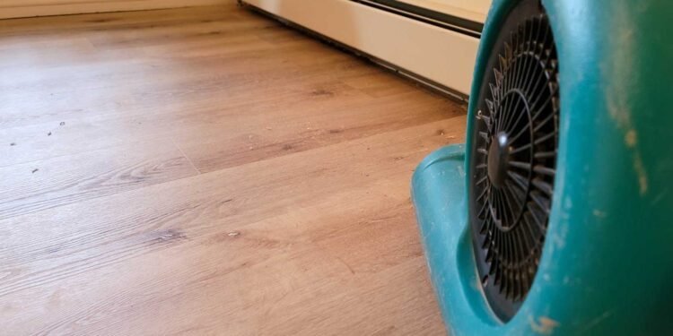The Science of Drying Out: Salvaging Your Space with Water Restoration Experts