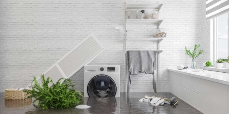 Why Timeliness Matters in Water Damage Restoration: The Risks of Delay