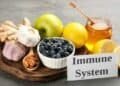 Boosting Your Immune System After Mold Exposure: A Recovery Guide