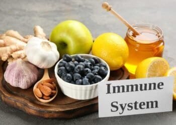 Boosting Your Immune System After Mold Exposure: A Recovery Guide