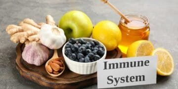 Boosting Your Immune System After Mold Exposure: A Recovery Guide