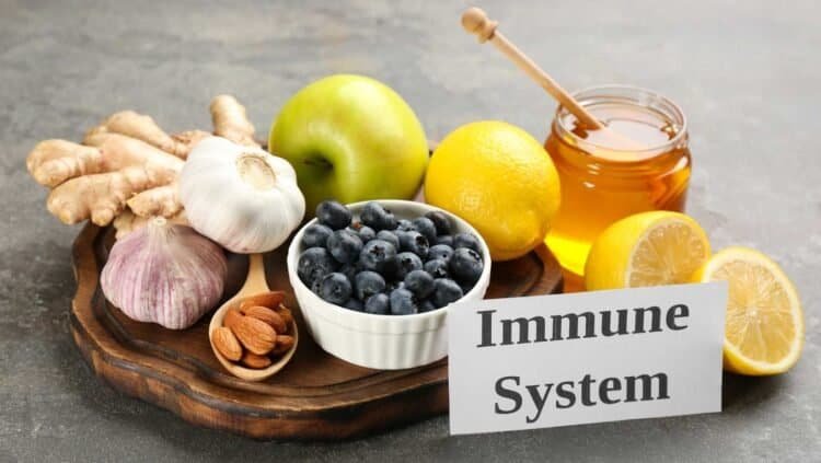 Boosting Your Immune System After Mold Exposure: A Recovery Guide