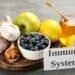 Boosting Your Immune System After Mold Exposure: A Recovery Guide
