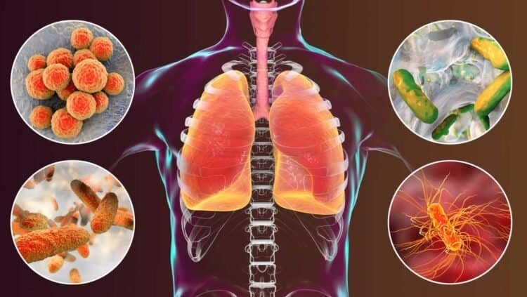 Could Mold Be the Culprit Behind Your Upper Respiratory Tract Infection Symptoms?