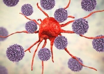 Emerging Research on Mold Exposure and Immune System Dysfunction: What You Need to Know