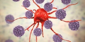 Emerging Research on Mold Exposure and Immune System Dysfunction: What You Need to Know