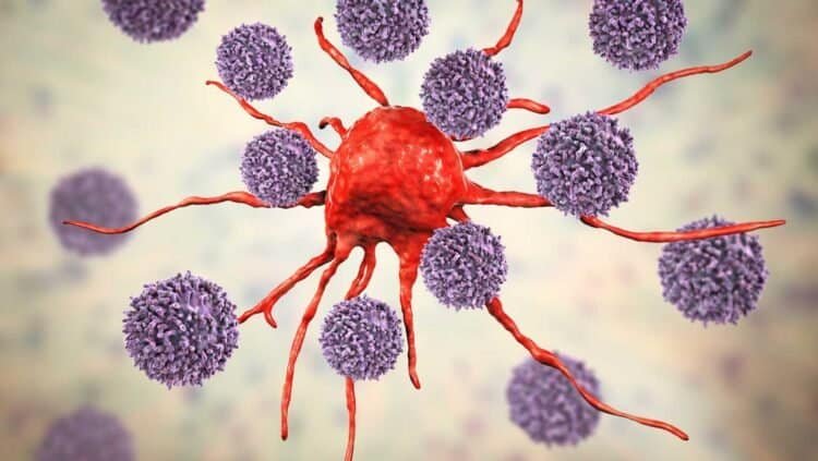 Emerging Research on Mold Exposure and Immune System Dysfunction: What You Need to Know