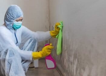 How to Safely Clean Mold and Prevent Skin Problems