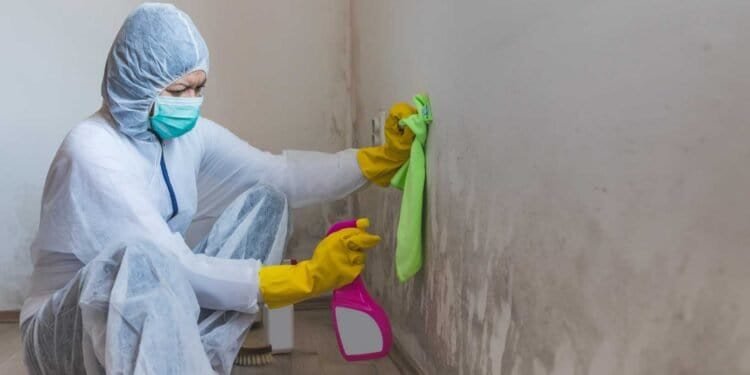 How to Safely Clean Mold and Prevent Skin Problems