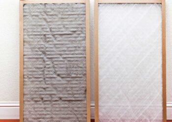 Improving Indoor Air Quality: A Solution to Mold-Induced Respiratory Issues