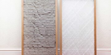 Improving Indoor Air Quality: A Solution to Mold-Induced Respiratory Issues