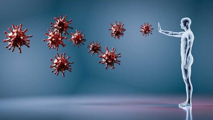 Mold Exposure: A Threat to Immune System Health