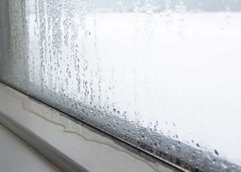 Mold, Humidity, and the Battle for Respiratory Well-being: Tips and Strategies