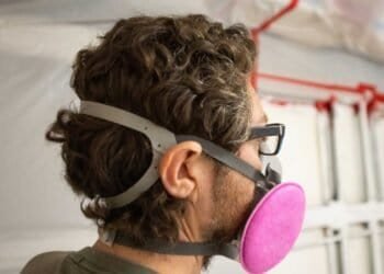 Mold Removal Techniques: Minimizing Respiratory Risks