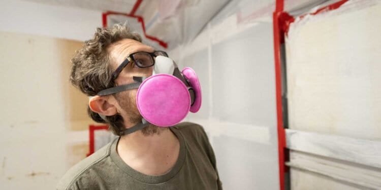 Professional Mold Inspection vs. DIY: Which is Best for Your Home?