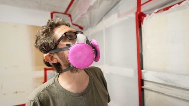 Professional Mold Inspection vs. DIY: Which is Best for Your Home?