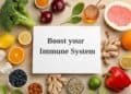 Strengthening Your Immune System Against Mold Toxins: Tips and Strategies
