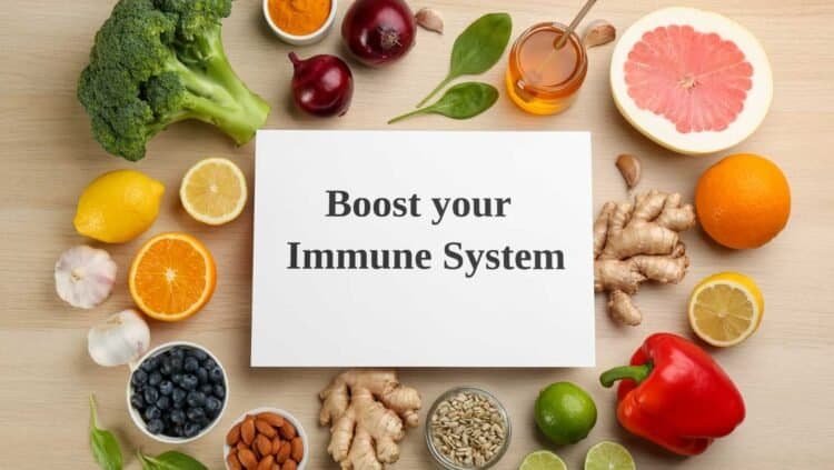 Strengthening Your Immune System Against Mold Toxins: Tips and Strategies