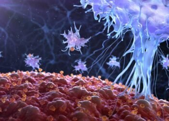 The Connection Between CIRS and Autoimmune Disorders: Explained