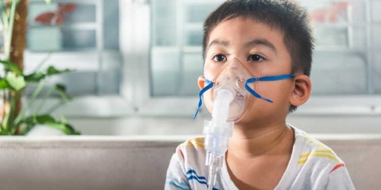The Link Between Indoor Mold and Childhood Respiratory Issues: Exploring the Connection