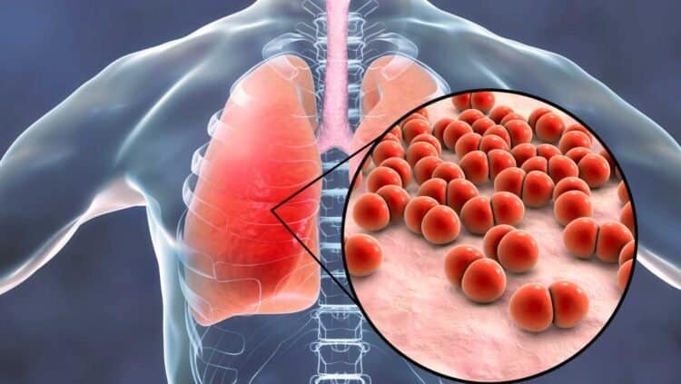 The Link Between Respiratory Infections and Mold in the Home: Exploring the Connection