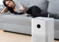The Role of Air Purifiers in Alleviating Mold-Related Respiratory Symptoms: A Comprehensive Guide