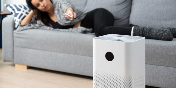 The Role of Air Purifiers in Alleviating Mold-Related Respiratory Symptoms: A Comprehensive Guide