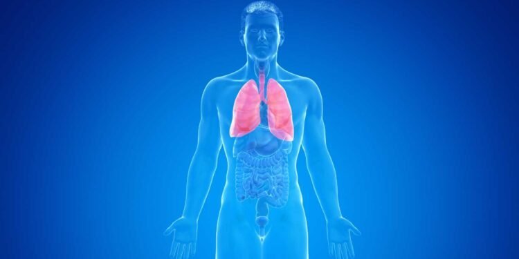 Could Mold be Causing or Aggravating Your Pulmonary Fibrosis Symptoms?