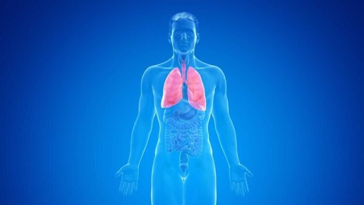 Could Mold be Causing or Aggravating Your Pulmonary Fibrosis Symptoms?