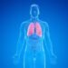 Could Mold be Causing or Aggravating Your Pulmonary Fibrosis Symptoms?