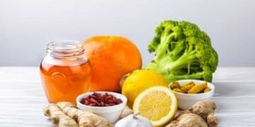 Dietary Strategies to Combat the Effects of Mold on the Immune System: A Comprehensive Guide