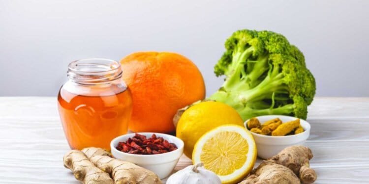 Dietary Strategies to Combat the Effects of Mold on the Immune System: A Comprehensive Guide