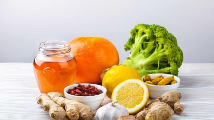 Dietary Strategies to Combat the Effects of Mold on the Immune System: A Comprehensive Guide