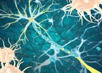 How Long-term Mold Exposure Affects Immune Function