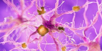 Identifying the Signs of Mold-Induced Neurological Symptoms