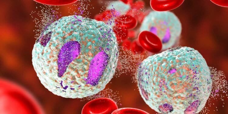 Mold Detox: Reducing Immune System Burden with These Tips