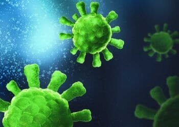 Mold and Immunosuppression: Understanding the Link