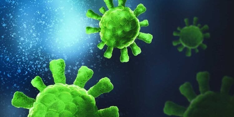 Mold and Immunosuppression: Understanding the Link