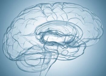 The Role of Mycotoxins in Mold-Related Neurological Issues: Understanding the Connection