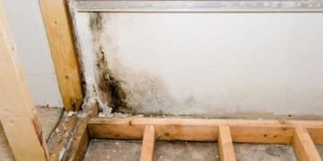 Why Professional Mold Services Often Outweigh DIY Testing Kits: The Importance of Proper Detection and Remediation