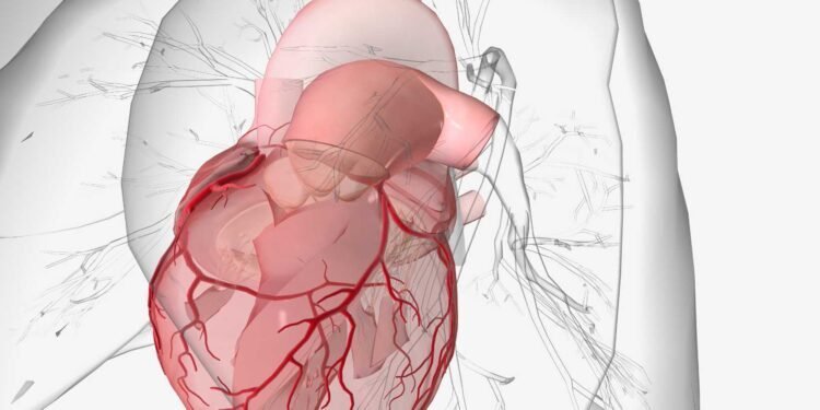 Could Mold be the Cause or Aggravator of Your Pulmonary Hemorrhage Symptoms?