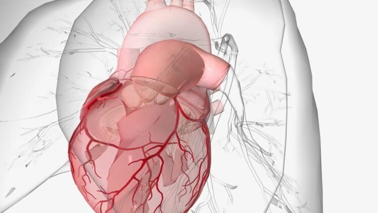 Could Mold be the Cause or Aggravator of Your Pulmonary Hemorrhage Symptoms?