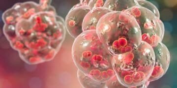 Could Mold be the Cause or Aggravator of Your Respiratory Infection Symptoms?